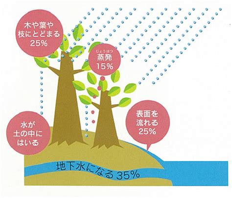 涵養水源的意思|涵養的解釋